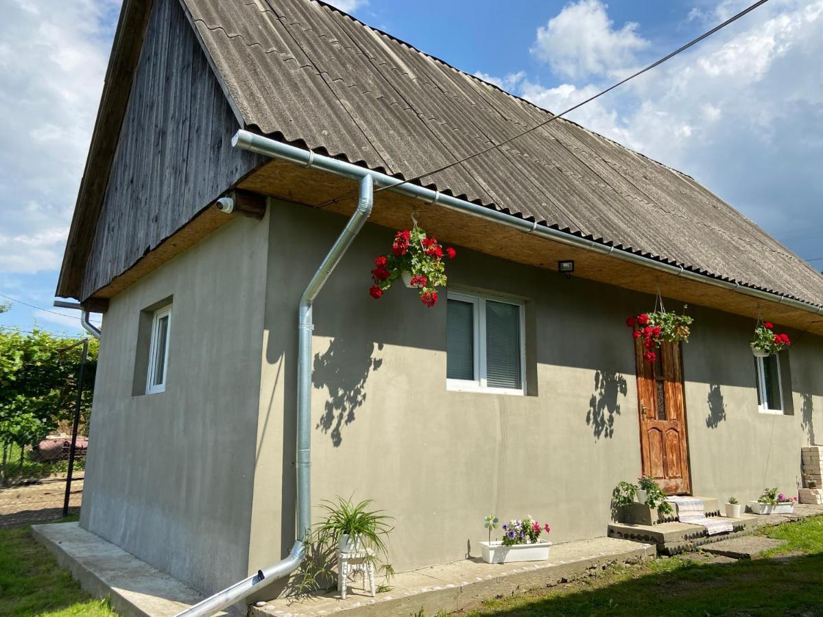 Біля Саду Volovets Esterno foto