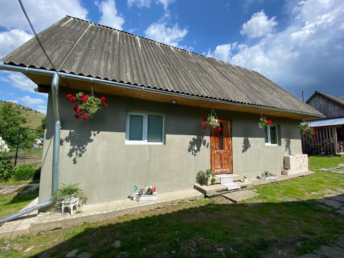 Біля Саду Volovets Esterno foto